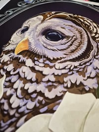 Image 2 of 11X14 Barred Owl W/ Moonflowers  Large Print