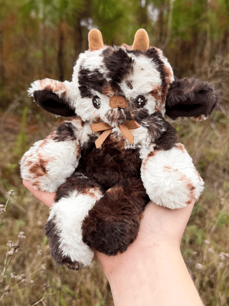 Image of Tiramisu Chocolate Moo Baby Noodle