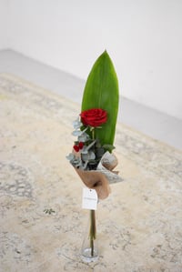 Image 1 of Rosa de Sant Jordi - La de sempre
