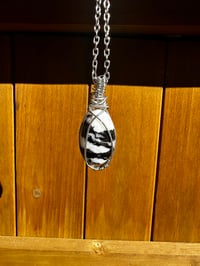 Image 2 of Zebra Jasper