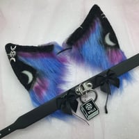 Kitten witch Luna ear