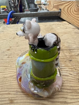 Image of Raccoons at the Park