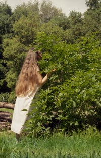 Image 4 of Camp Stories perfume