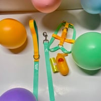 Image 4 of Walking Set