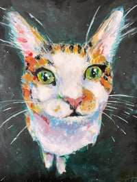 Image 4 of pet portraits starting at $200