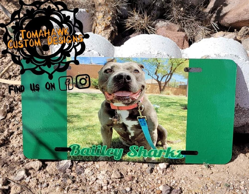 Image of License plates