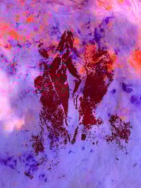 Image 1 of Purple and orange multi colour tie dye with red pussy print (small)