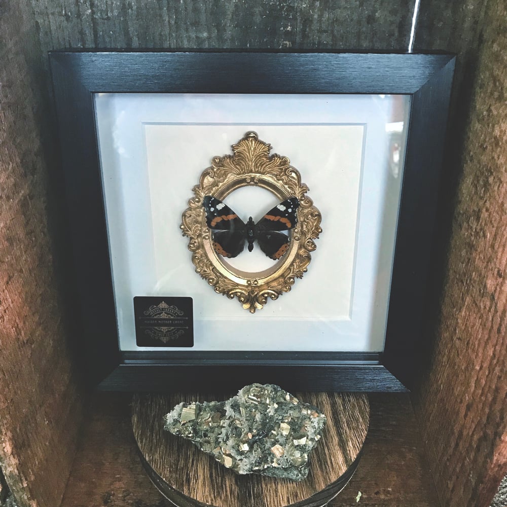 Image of Ornate Framed Red Admiral Butterfly 