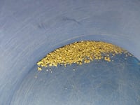 Image 4 of Gold button- 0.25g