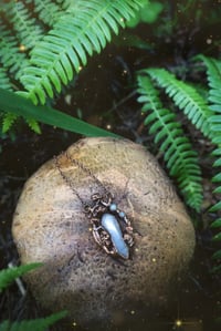 Image 1 of Mini Lily of the Valley Portal 