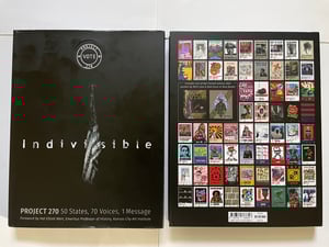 Image of INDIVISIBLE PROJECT 270