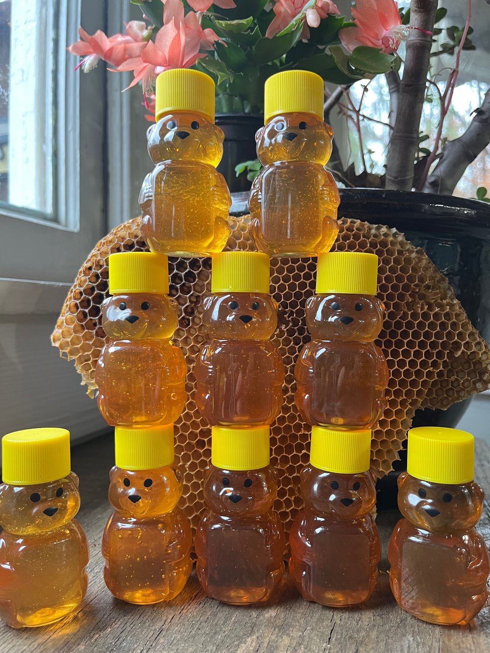 Image of Honey Bear 2 oz