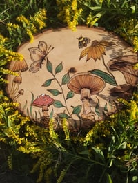 Image 3 of Shroom garden 