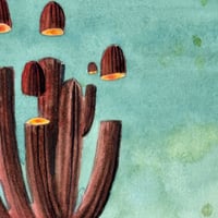 Image 6 of “Sombra”