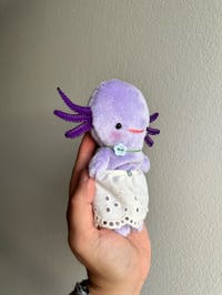 Image 2 of Voilet the Axolotl 