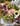 Abonnements floraux