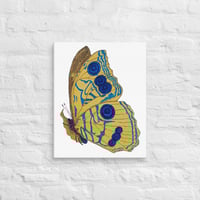 Image 5 of Canvas of Butterfly