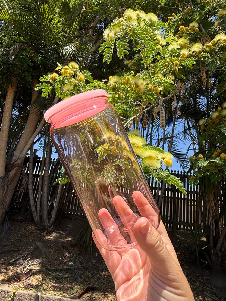 Image of DIY Coloured Cup