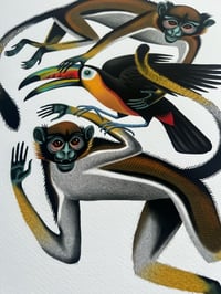 Image 3 of Monkeys and toucan 