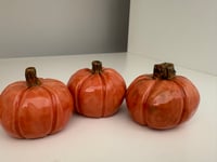 Image 4 of Pwmpenni unigol - single Pumpkins