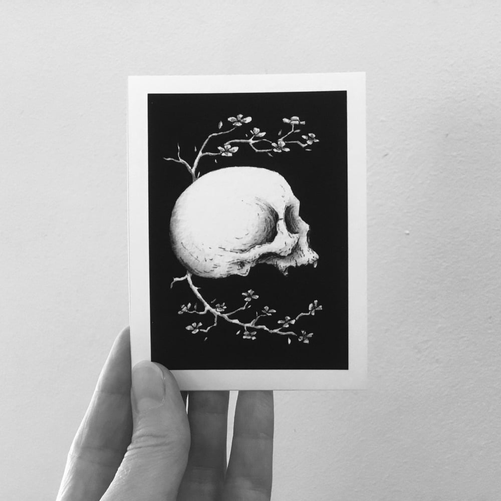 Skull And Cherry Blossoms Mini Print