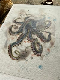 Image 5 of Print Pieuvre 