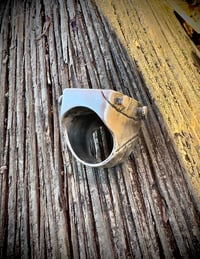 Image 6 of The Reassembled Self