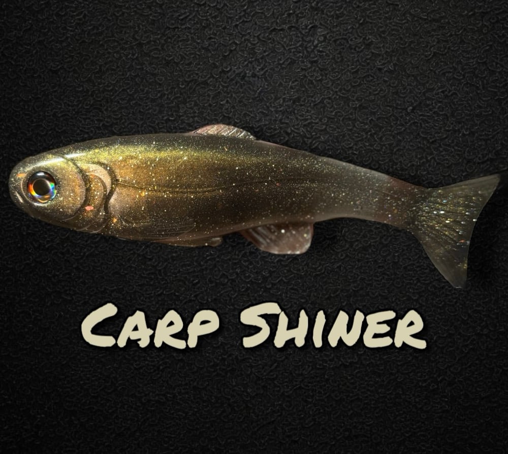 Roma Trout - Carp Shiner