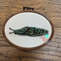 Image 3 of Shiny slug (a, 2.5 x 3 inches)