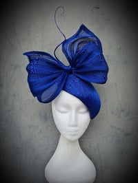 'Dolly' in cobalt
