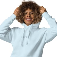 Image 1 of Essentials Simple Logo Embroidered Unisex Hoodie