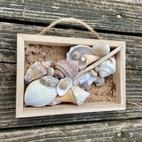 Image 3 of Beach Box #6