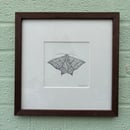 Image 1 of £50 originals - Swallowtail moth, pointillism