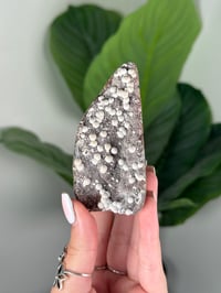 Image 1 of URUGUAYAN AMETHYST CUTBASE WITH BOTRYOIDAL CALCITE I