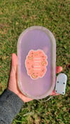 "Make a wish" 11:11 Light Up Tray