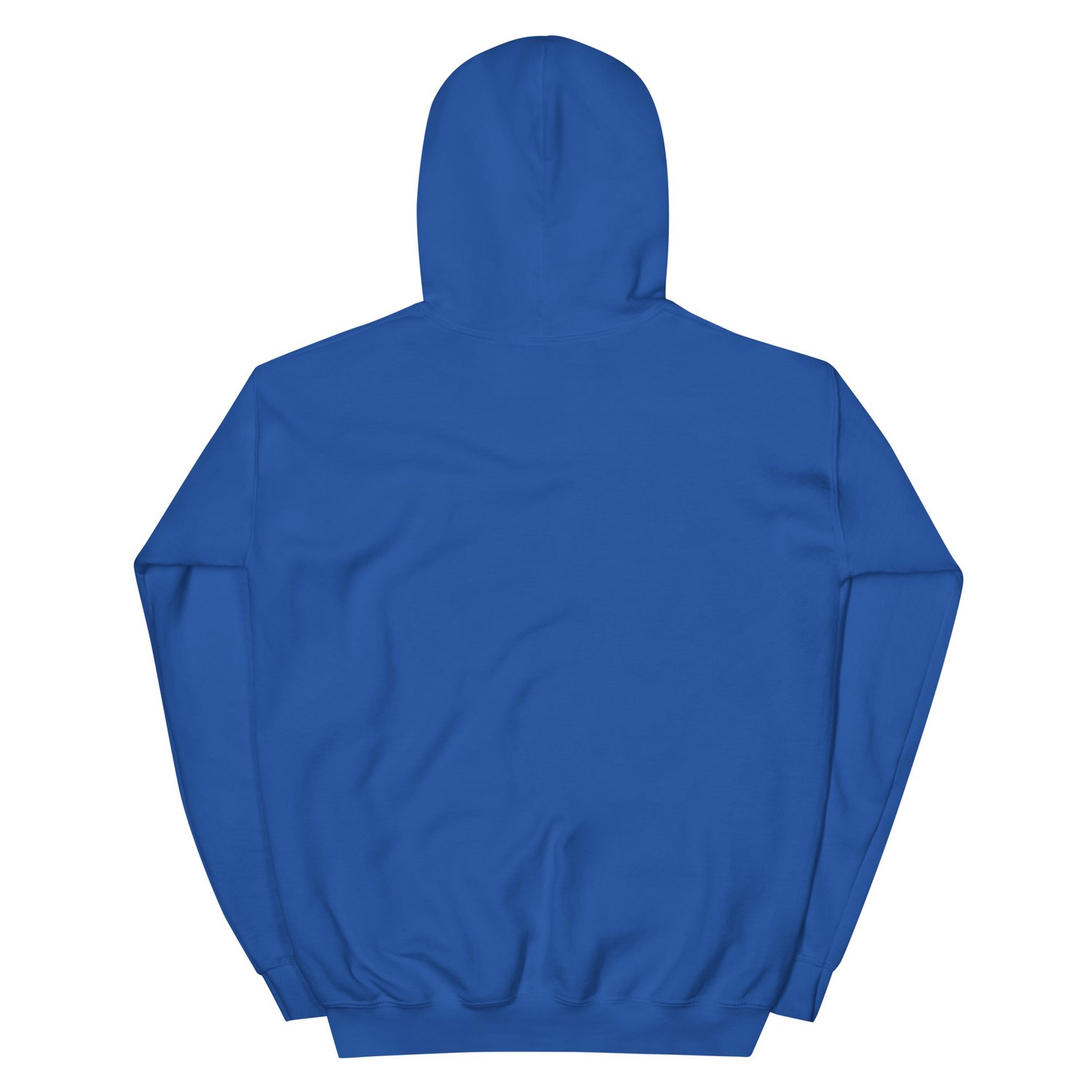 Image of A REPTILE FOR SURE HOODIE