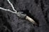 Dead Good Pheasant toe necklace with lolite crystal stone copy Image 8