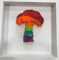 Pride 3 Large Broccoli 