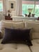 Image of Coussins long velours marron