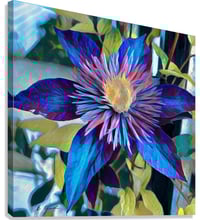 Image 3 of Flower Pop