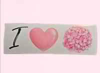 Image 2 of I Love Hydrangeas Bumper Sticker 
