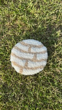 White concha coaster