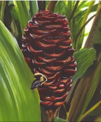 Image 1 of Ginger Flower