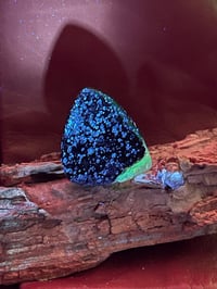 Image 5 of Killer A++ Hyalite Opal Cabochon