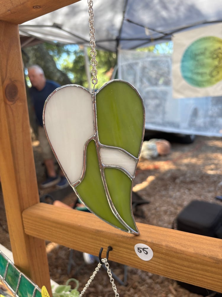 Image of White Princess Philodendron 