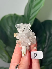 Image 5 of SMALL COLOMBIAN QUARTZ CLUSTERS WITH CHLORITE