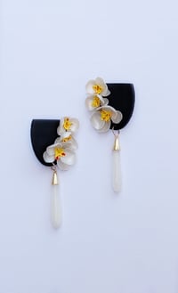 Image 2 of Orchids in Bloom