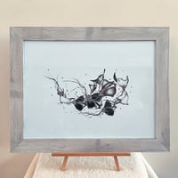 Floral Manta-rays