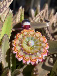 Image 2 of Magenta Magnolia