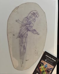 Image 1 of Parrot Acetate Malone Tattoo Stencil vintage 